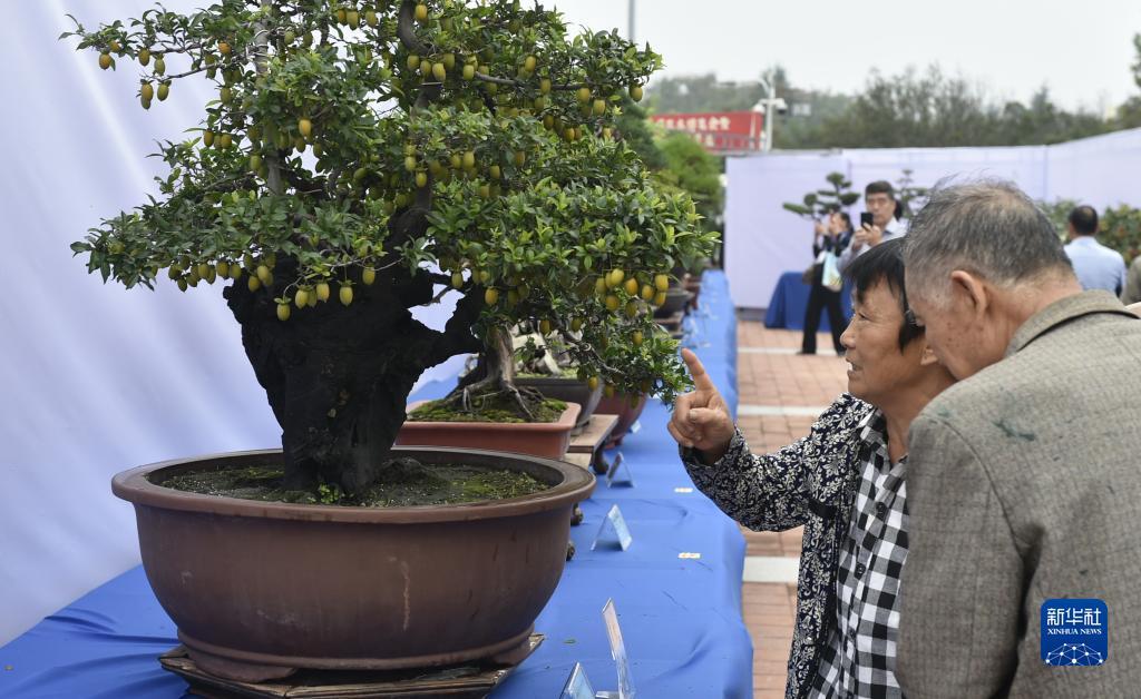 新浦京澳门官网